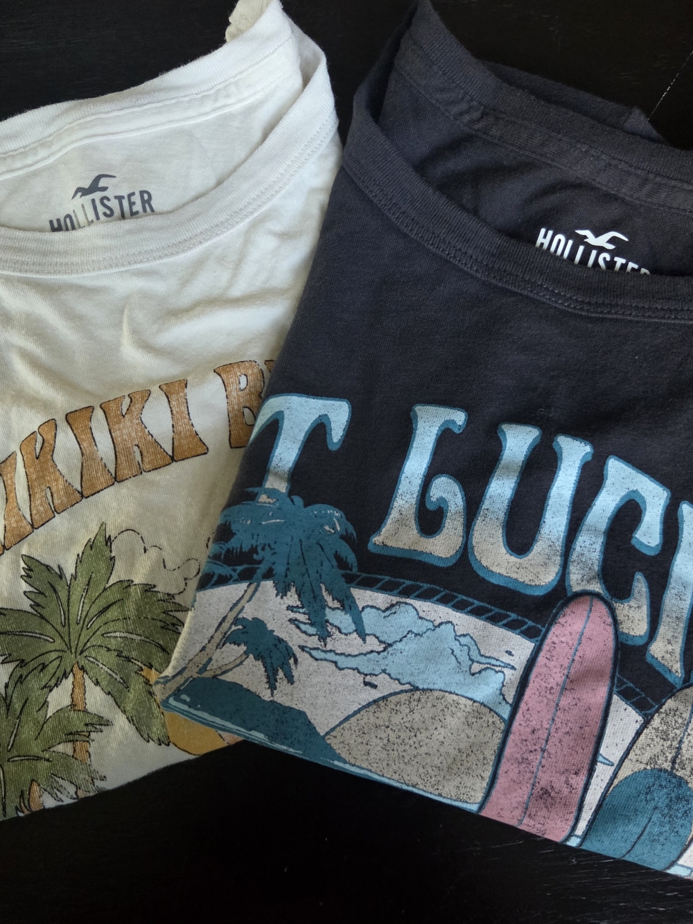 Hollister Tropical Graphic Tee Pair in Black & Cream